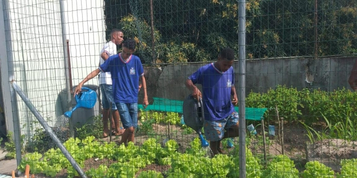 Escola desenvolve Horta Escolar como conteúdo pedagógico em São Roque do Paragua